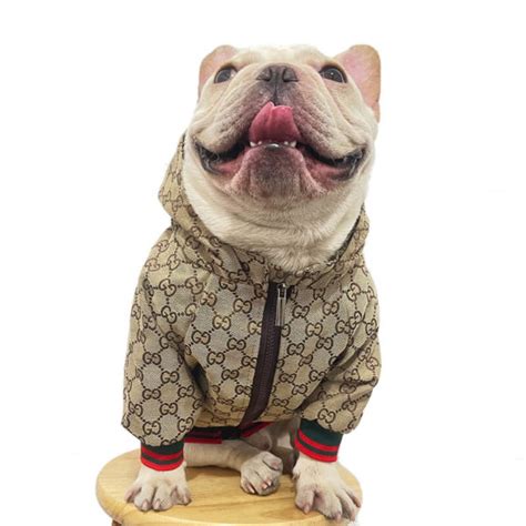 gucci dog jumper|gucci sweater men.